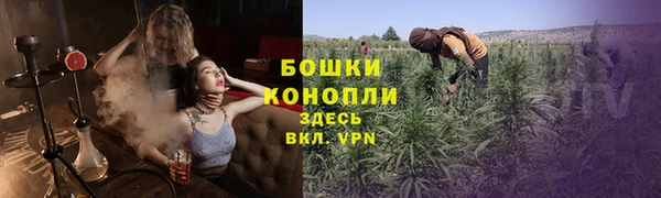 дживик Гусь-Хрустальный