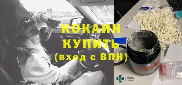 дживик Гусь-Хрустальный
