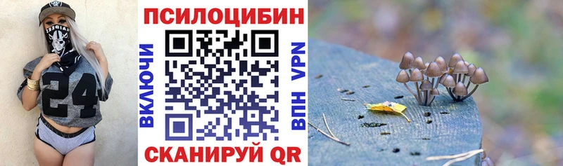 Купить где  Почеп  Псилоцибиновые грибы GOLDEN TEACHER 